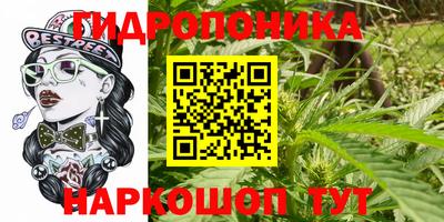 apvp Мариинск