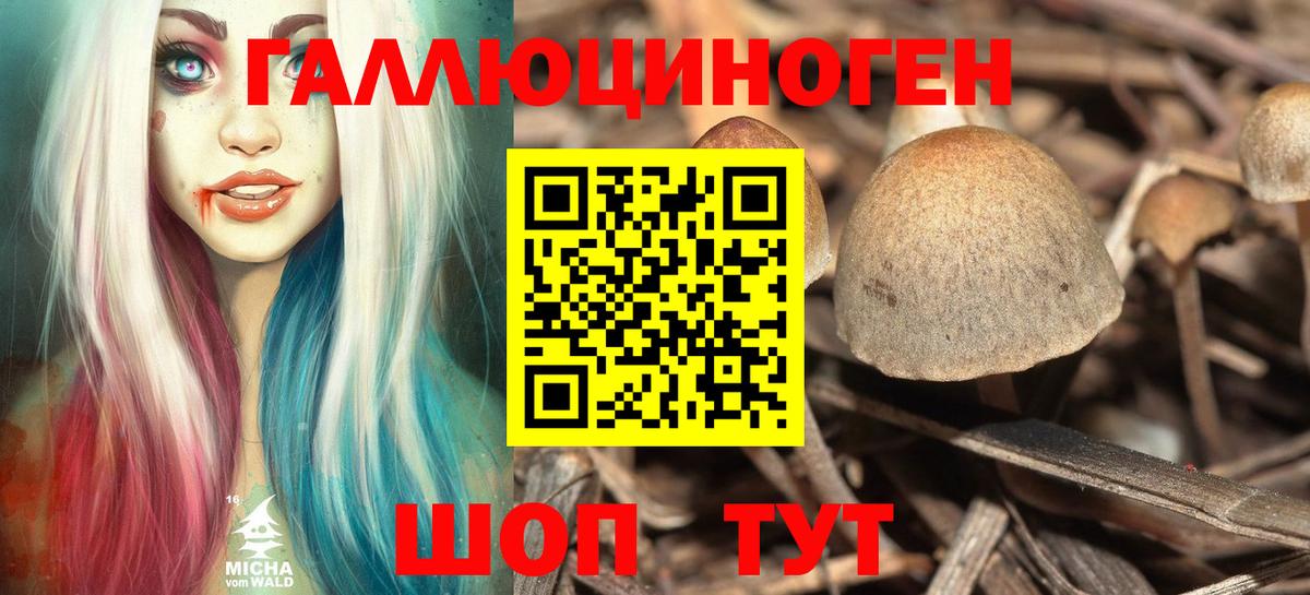 Галлюциногенные грибы мицелий Сорочинск