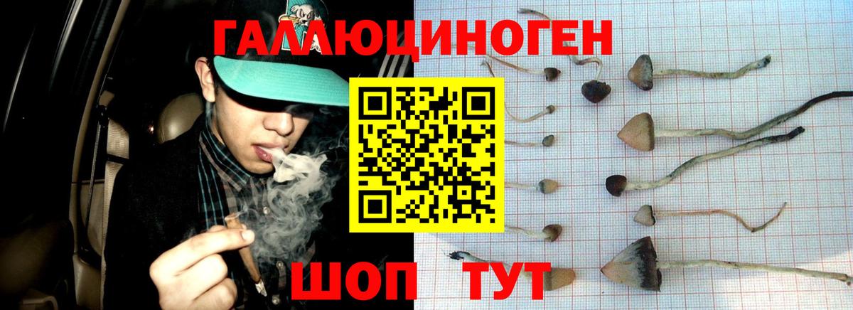 Галлюциногенные грибы Psilocybine cubensis  Вход с VPN  Псилоцибиновые грибы Magic Shrooms  Сорочинск 
